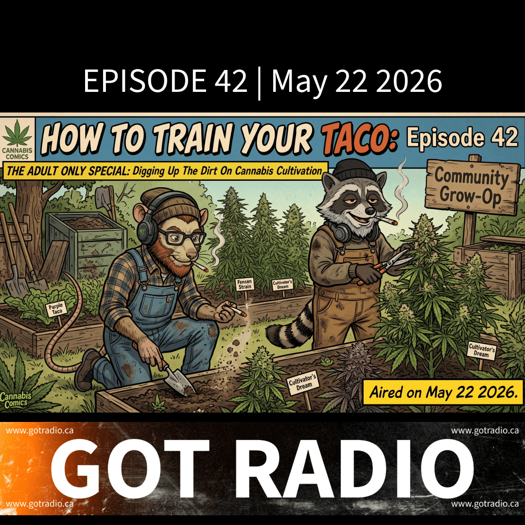 Episode 42 | How To Train Your Taco